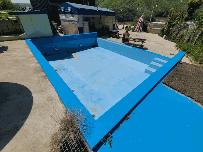 수영장 풀 전경
(기호(1)토지 소재)