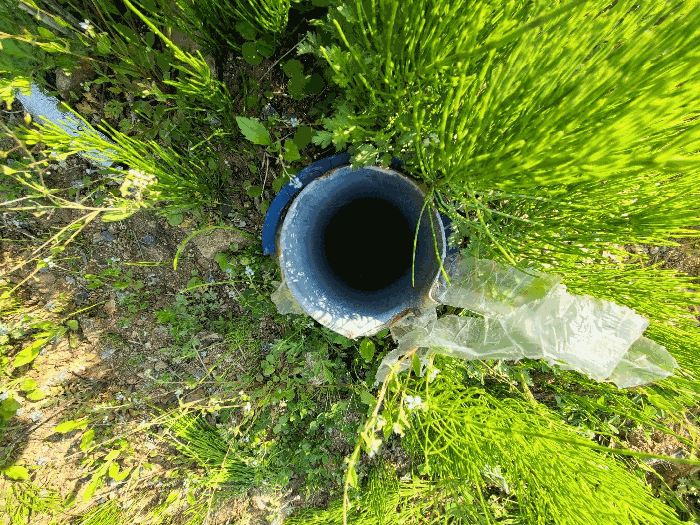 본건 기호(11)토지 소재 관정 전경