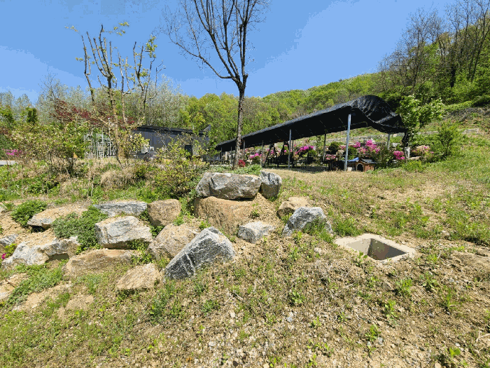 정원수. 정원석 전경 2