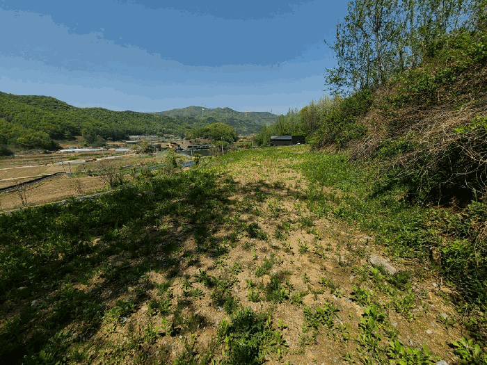 본건 기호(11)토지 전경