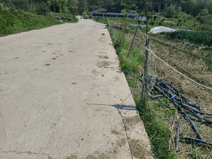 본건 기호(6)토지 전경