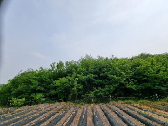 목록12(북쪽에서 촬영)