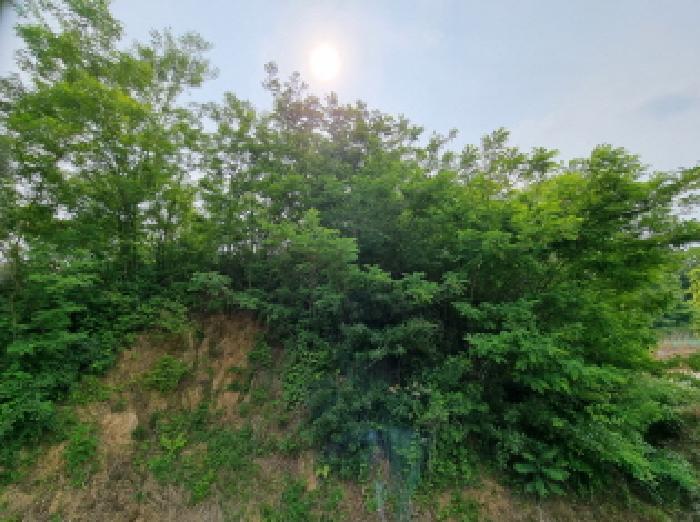 목록10