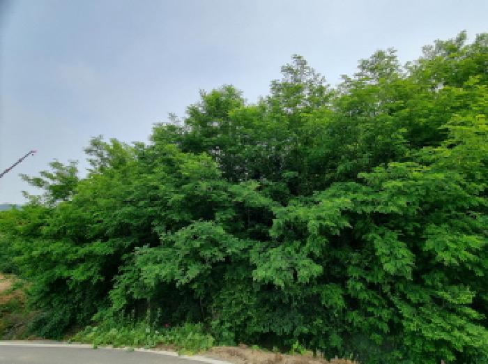 목록11 (1)