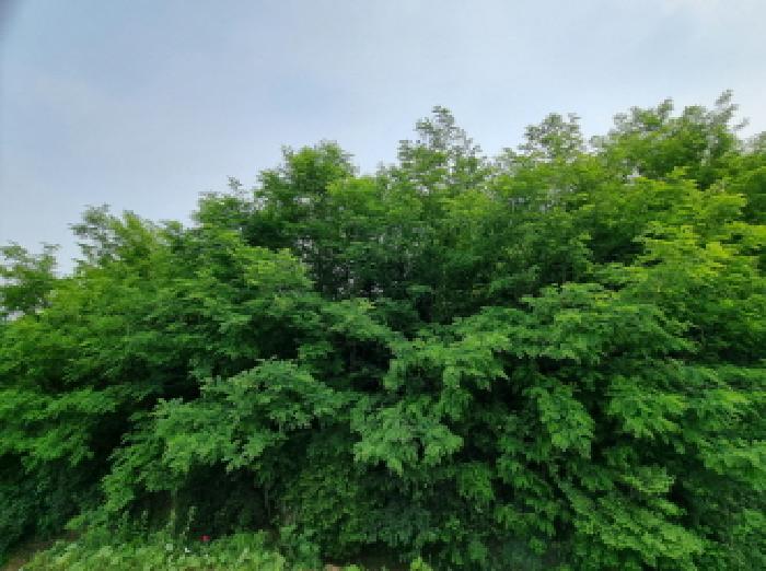 목록11 (2)