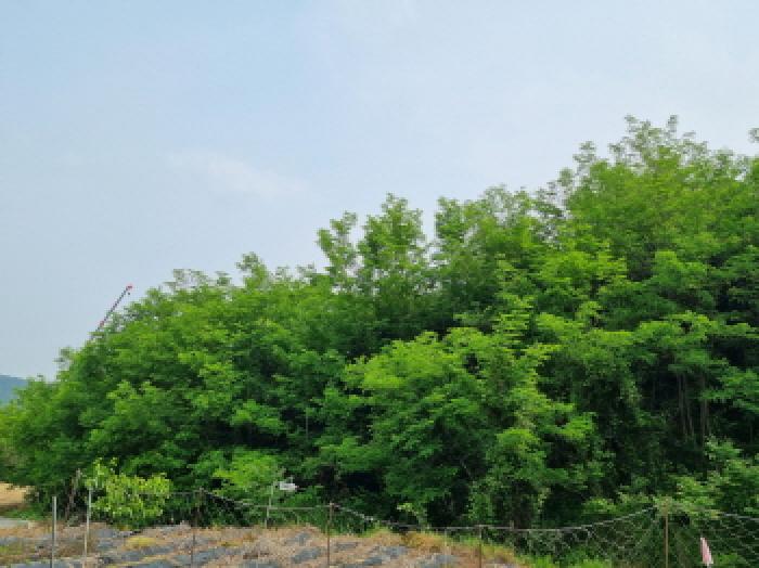 목록12