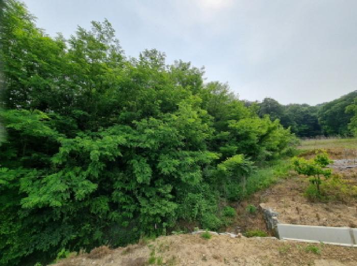 목록12