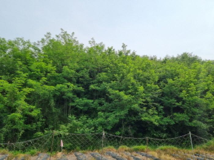 목록12