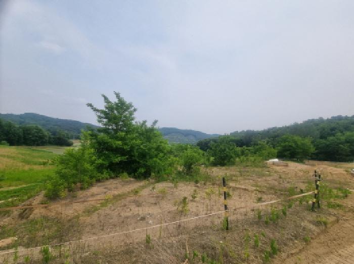 목록2 및 목록13 전경