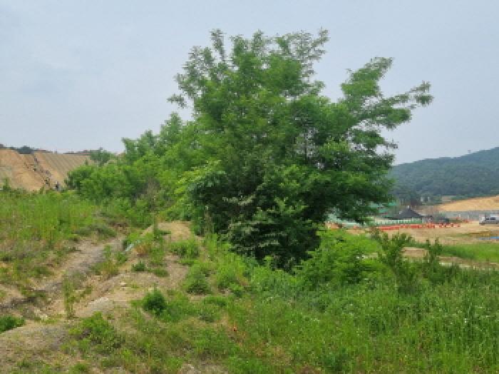 목록2(남쪽에서 촬영)