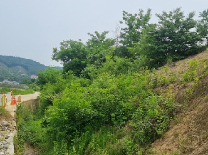 목록2(북쪽에서 촬영)