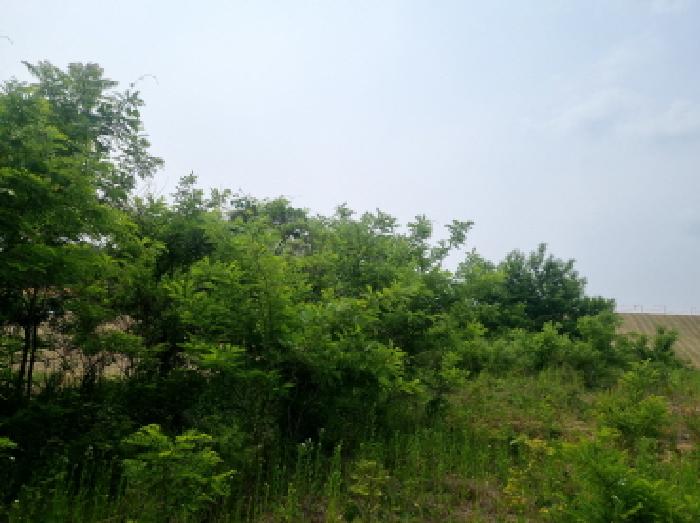 목록3 (2)