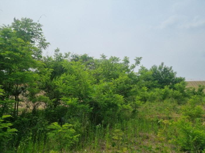 목록3 (3)