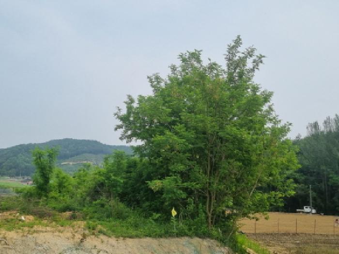 목록3(북쪽에서 촬영)