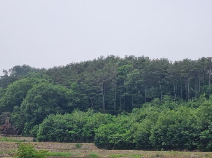 목록8