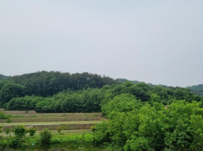 목록8