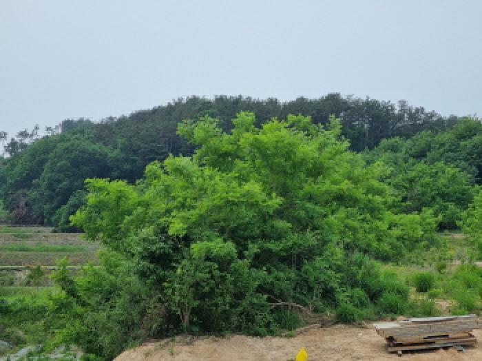 목록8