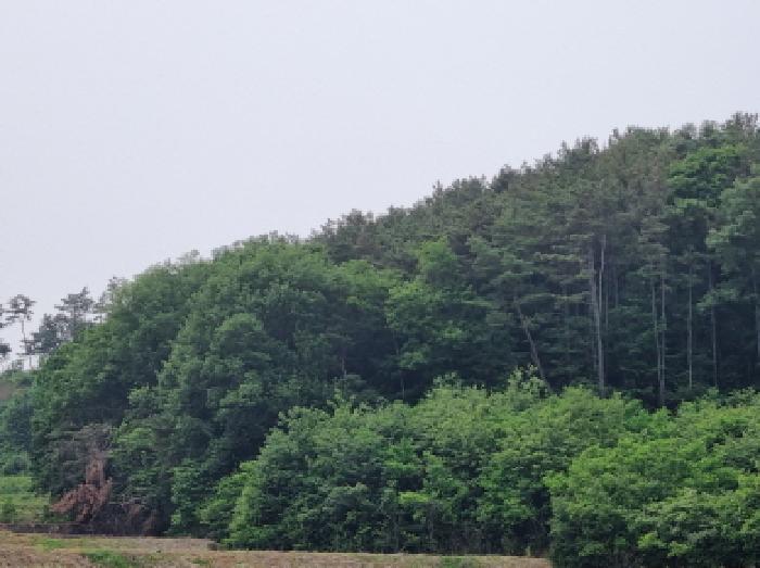 목록8