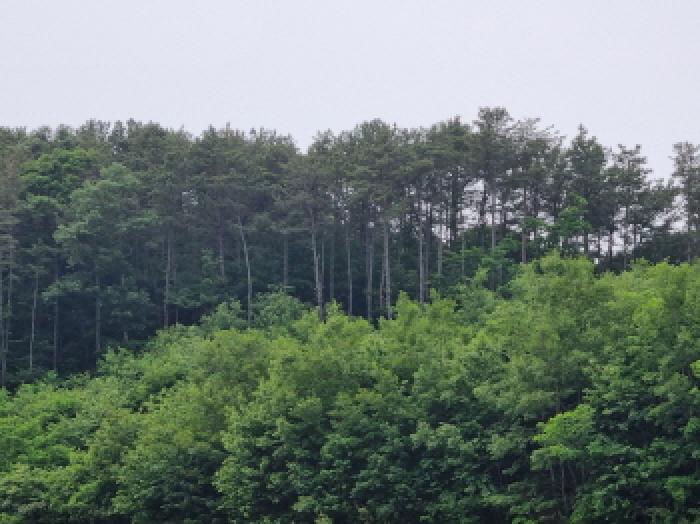 목록8