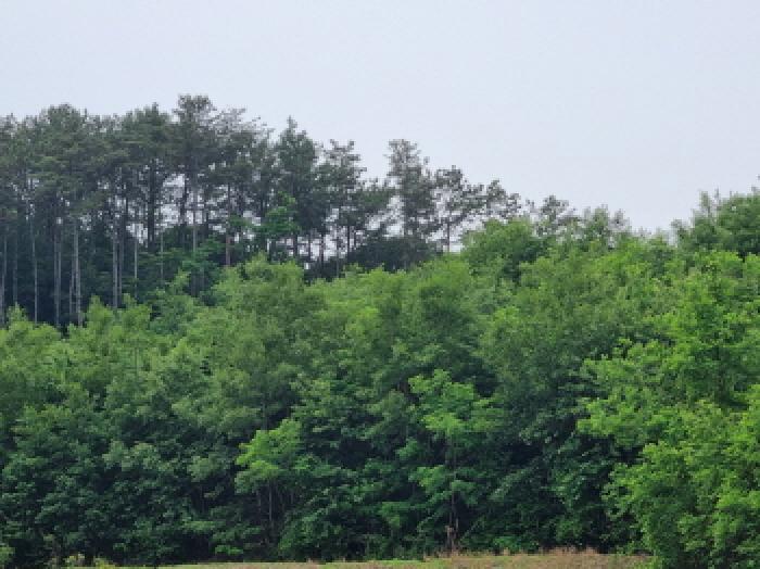 목록8