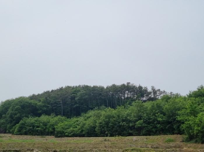 목록8