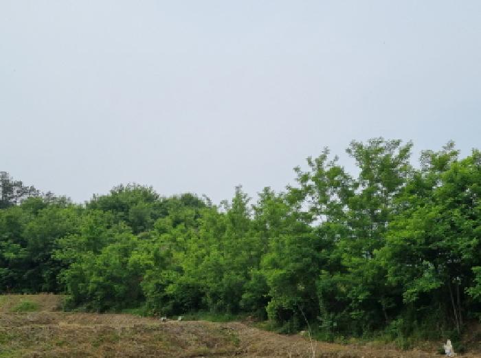 목록8