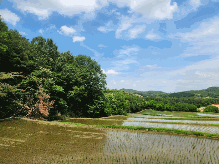 기호(8) 전경(남서측에서 촬영)