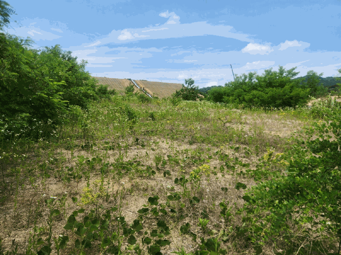 기호(13) 전경(남동측에서 촬영)