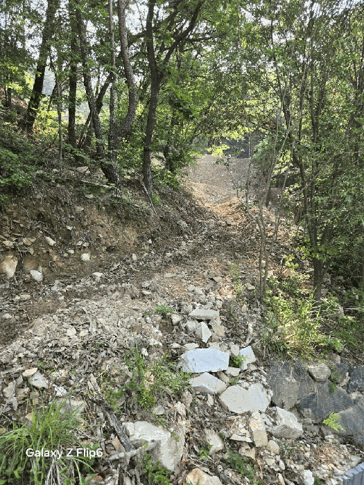 일련번호(9)토지의 전경5