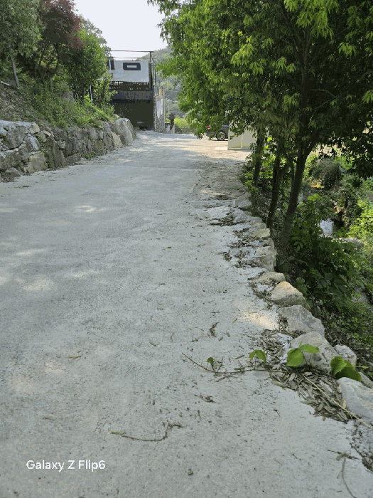 일련번호(10)토지의 현황 도로, (9)의 일부 도로