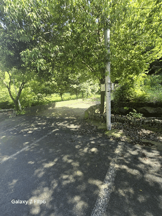 일련번호(8)토지의 교량 전경