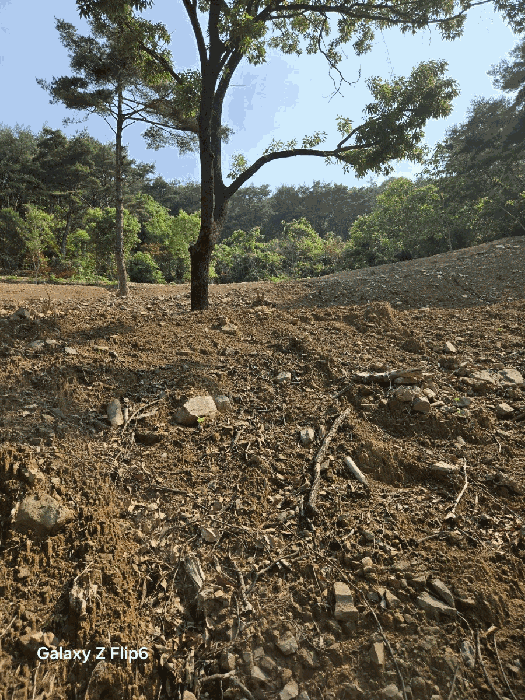 일련번호(9)토지의 전경4