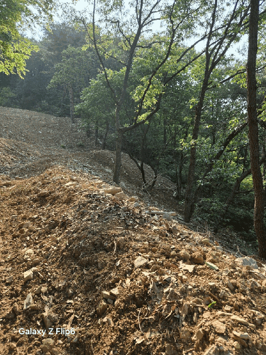 일련번호(9)토지의 전경3