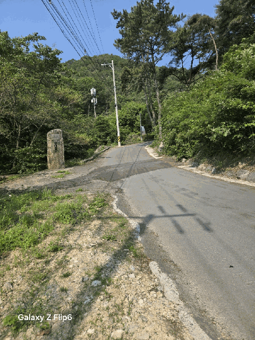 일련번호(13)토지의 전경 및 현황 도로