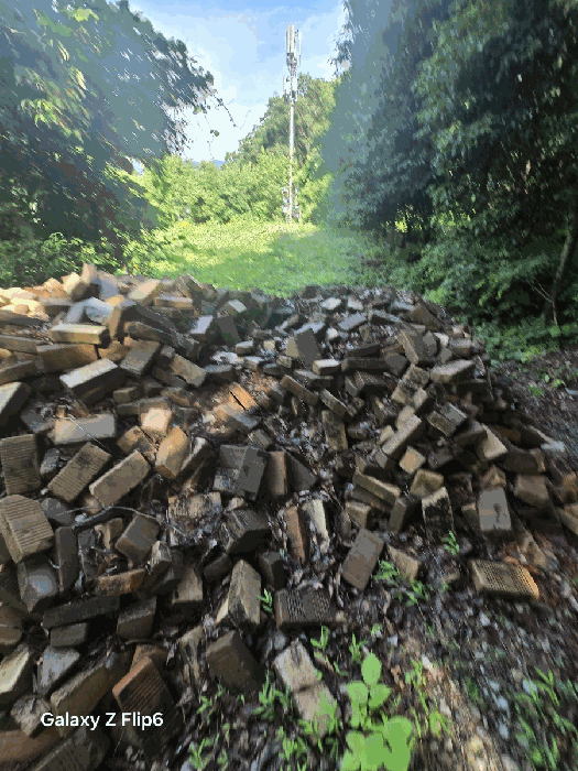 일련번호(8)토지의 전경3