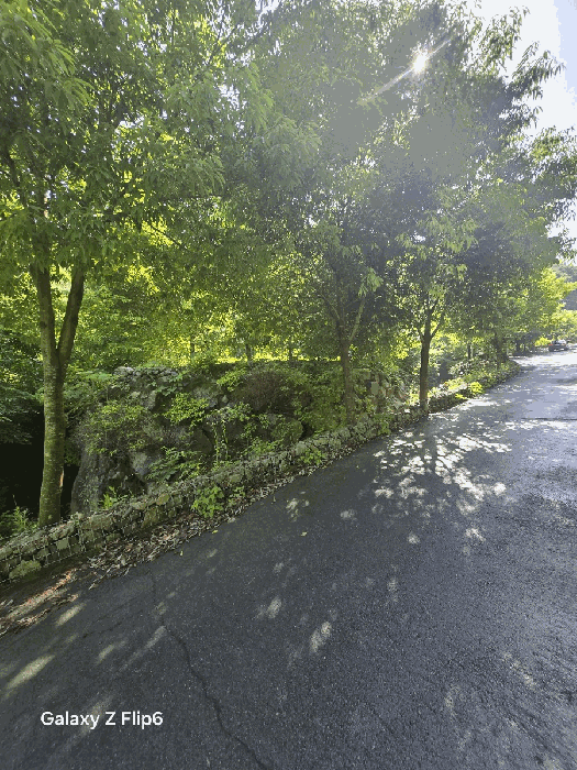 일련번호(8)토지의 전경2