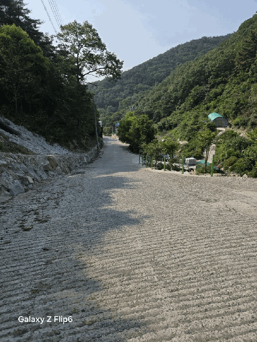 일련번호(11)토지의 전경