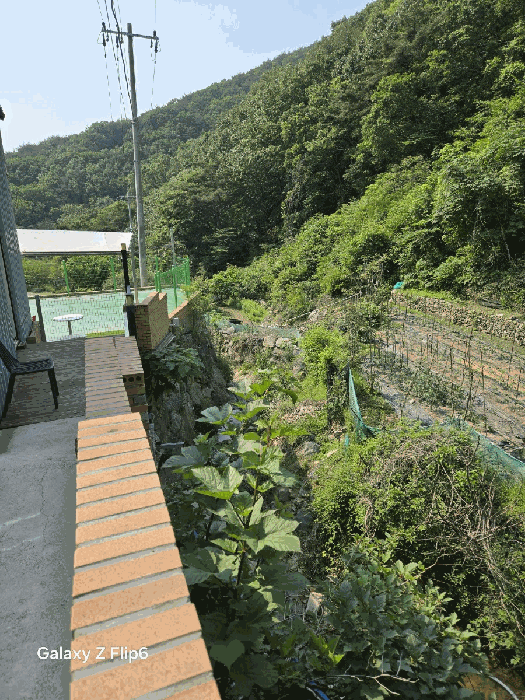 일련번호(7)토지의 전경