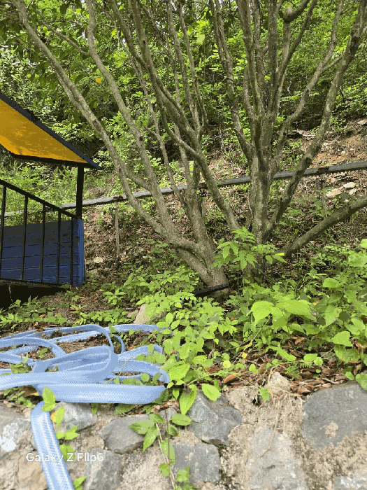 제시외구축물(2)