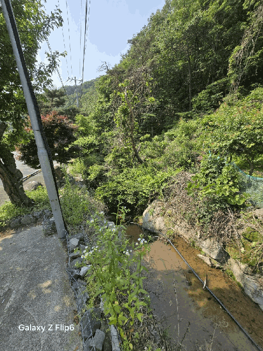 일련번호(7)토지의 전경