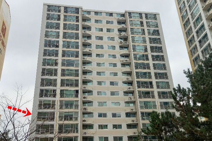 본건 전경