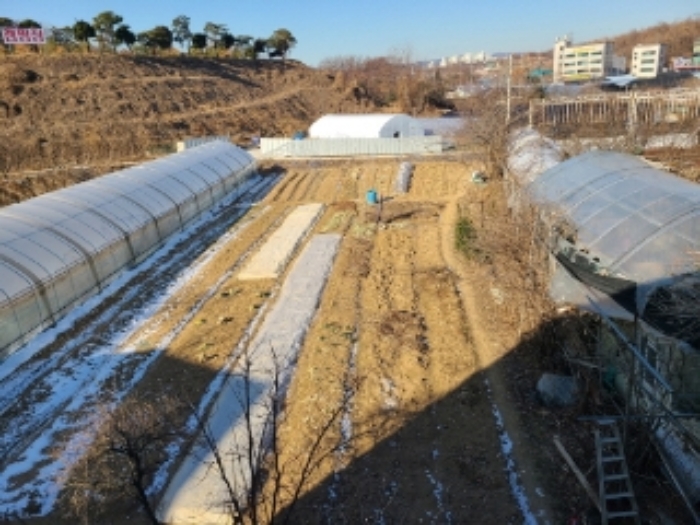 2번 부동산 전경1(비닐하우스 및 비닐막)