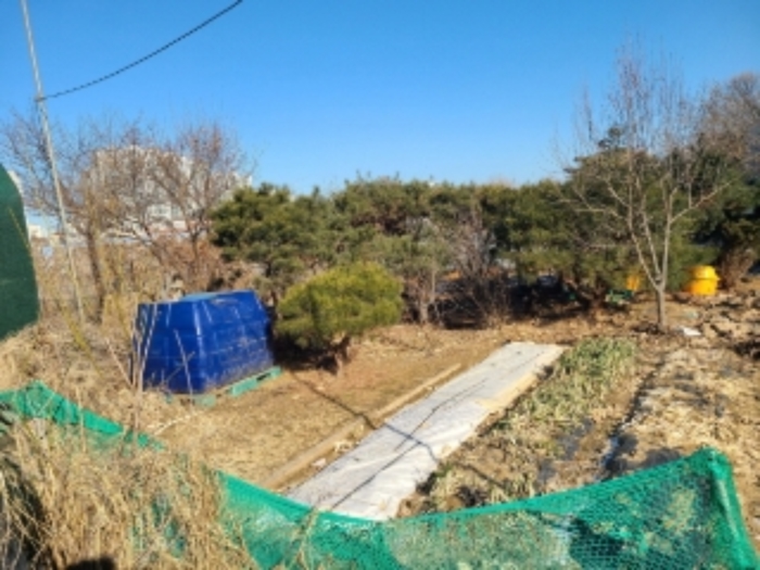 2번 부동산 전경5(비닐막, 수목)
