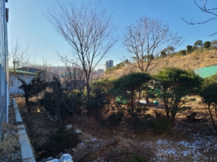 2번 부동산 전경6(수목)