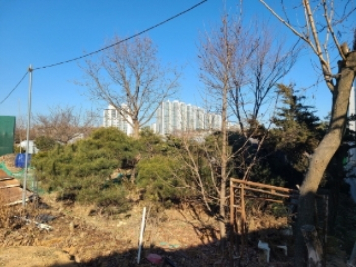 2번 부동산 전경7(수목)