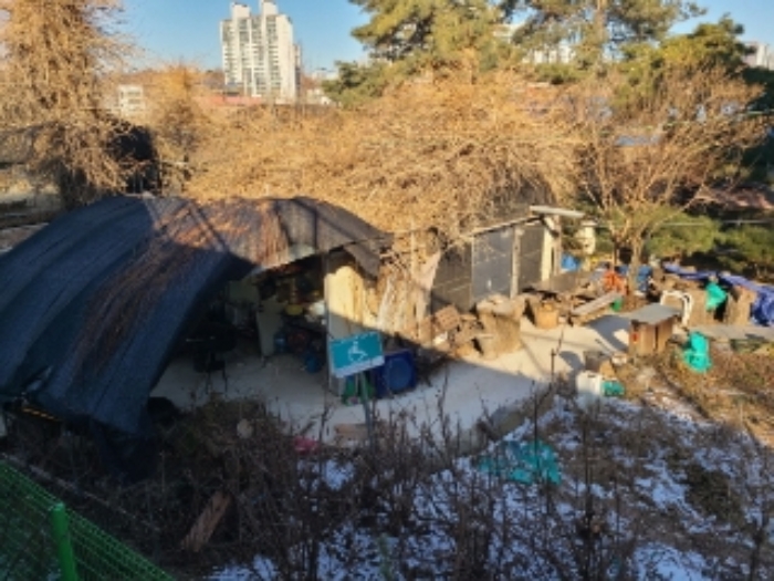 1번 부동산 전경(비닐하우스)