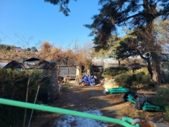 1번 부동산 내부 전경(수목 식재)