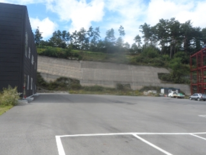 기호 2번 근거리에서 촬영한 것임