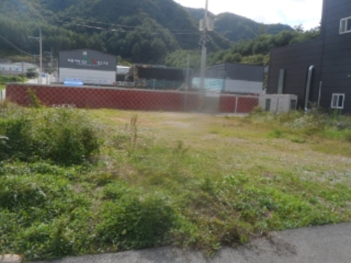 기호 2번 근거리에서 촬영한 것임