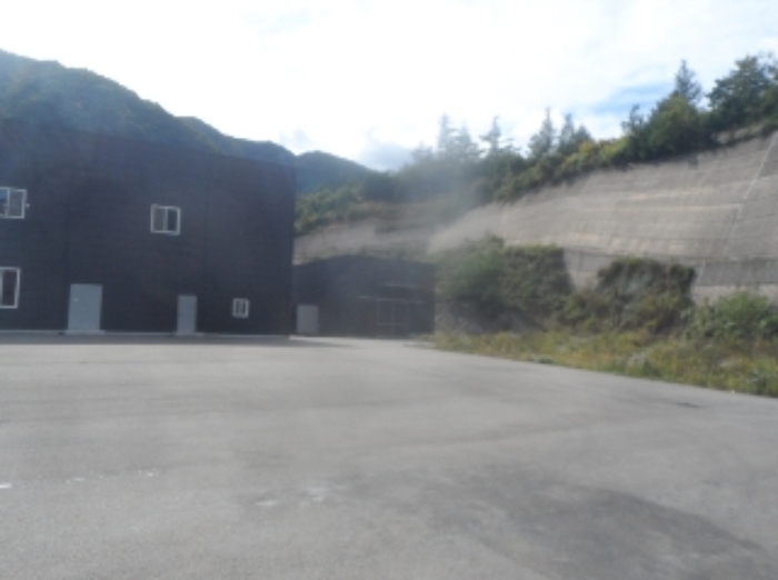 기호 2번 근거리에서 촬영한 것임